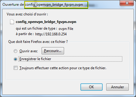 FreeboxOpenVPNbridgéDwnl.PNG